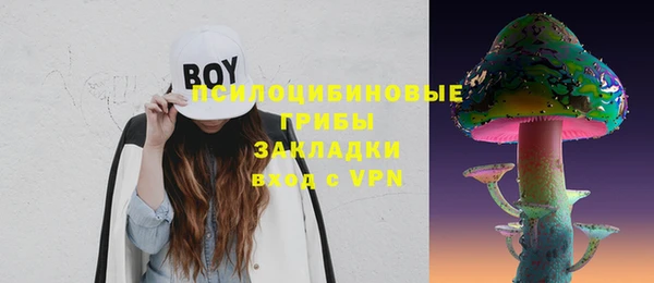 сатива Аркадак
