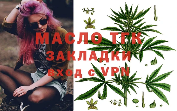 сатива Армянск