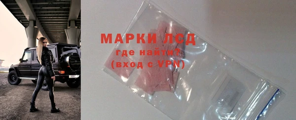 сатива Аркадак