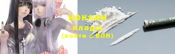 сатива Аркадак