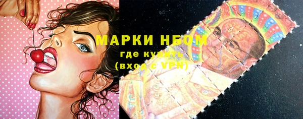 сатива Армянск