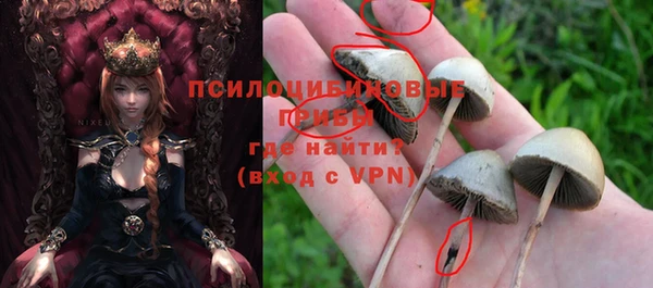 сатива Аркадак