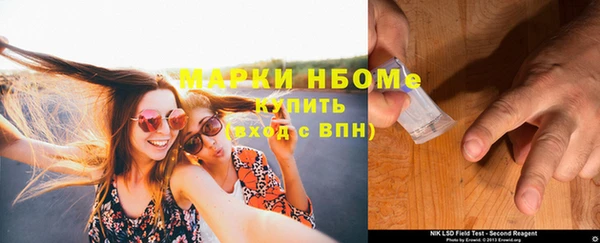 сатива Аркадак
