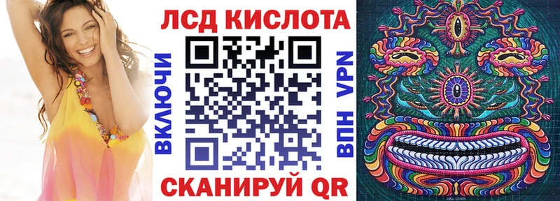 купить наркотики цена  hydra ссылка  Наркотические марки 1500мкг  Новоалександровск 