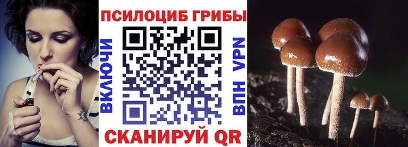 Псилоцибиновые грибы GOLDEN TEACHER  ОМГ ОМГ сайт  Новоалександровск 