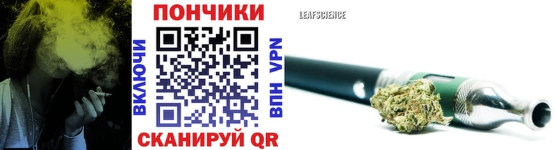 хочу   Новоалександровск  Бошки марихуана индика 